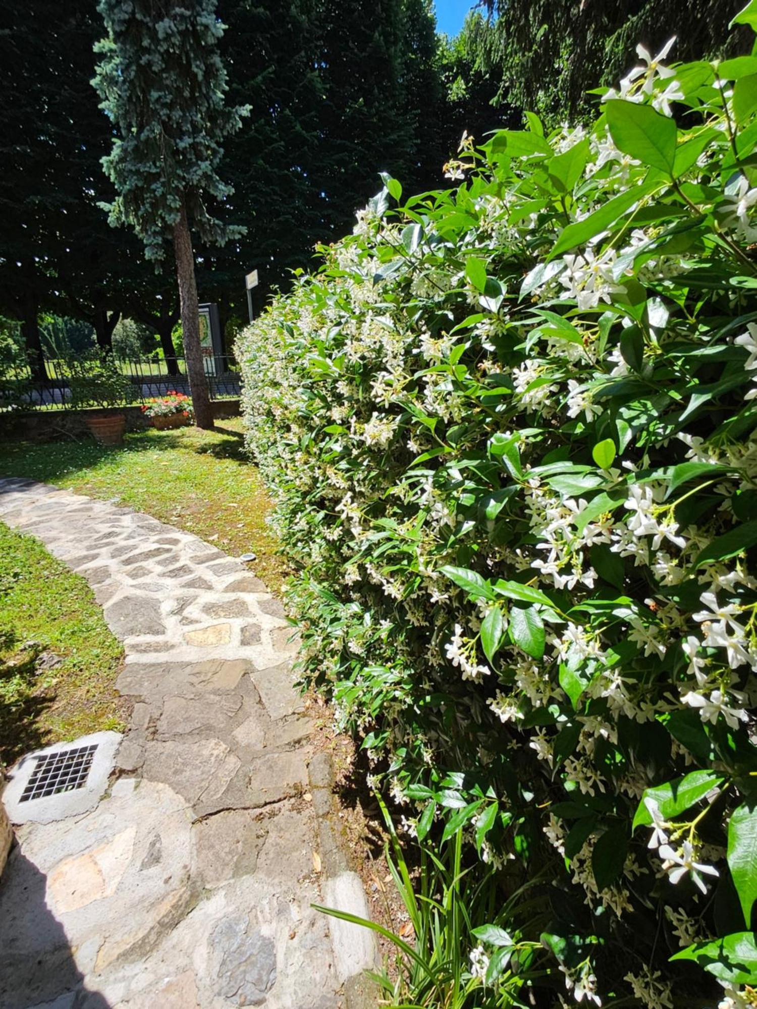 B&B Casa Tessieri Lucca Dış mekan fotoğraf