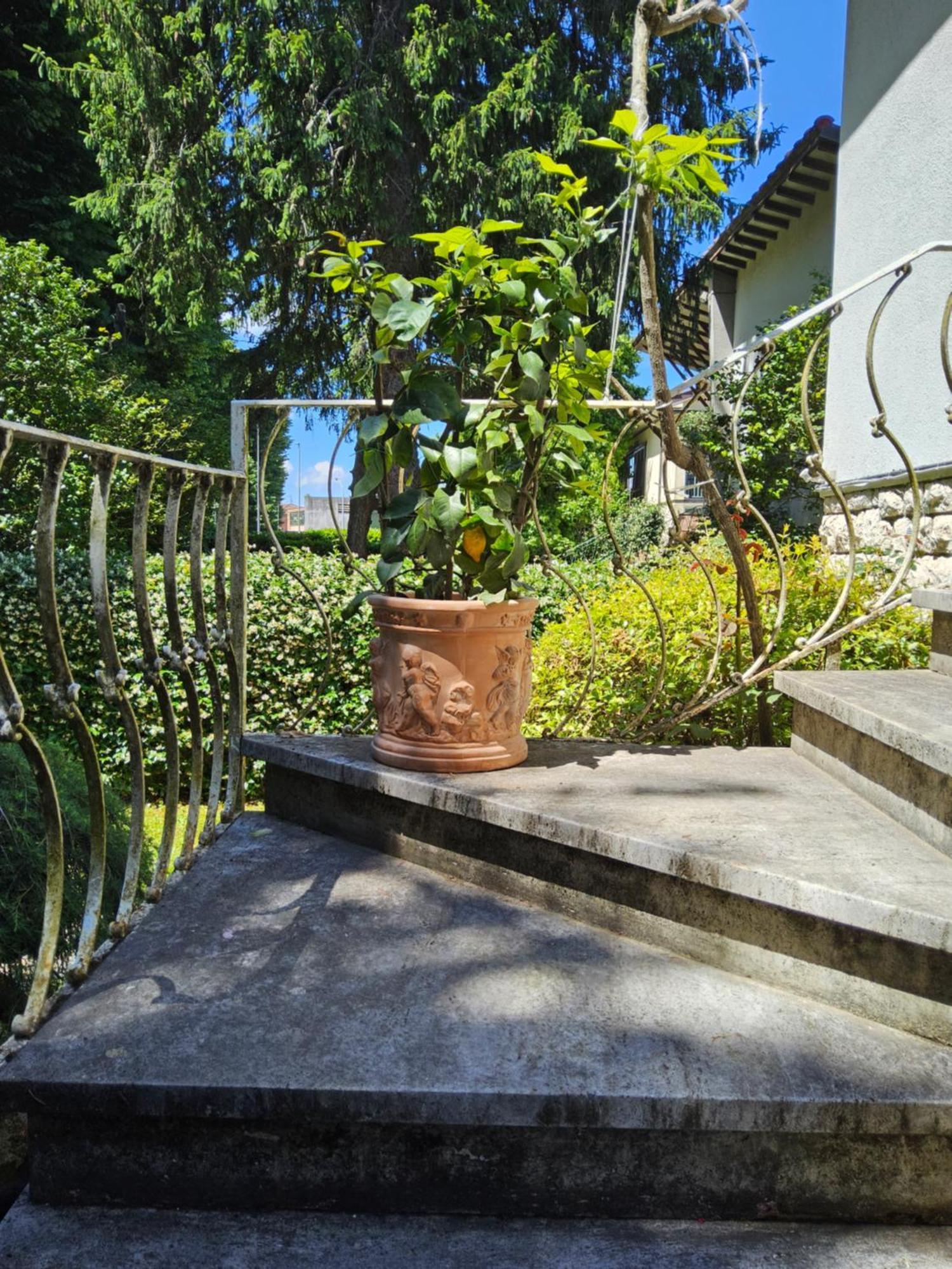 B&B Casa Tessieri Lucca Dış mekan fotoğraf